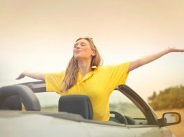 197 деревьев хотят спилить в Ростове на проспекте 40-летия Победы